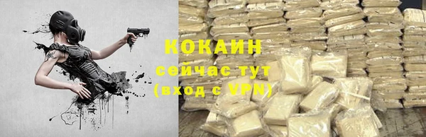прущая мука Богородицк