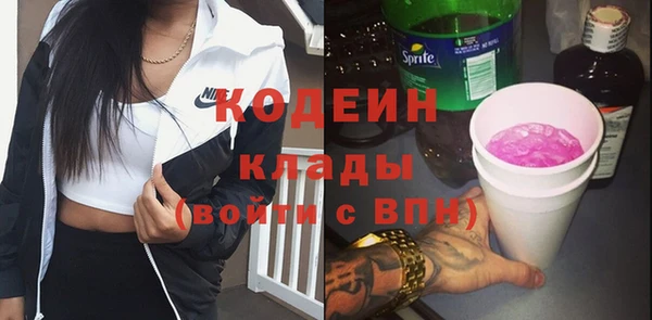 хмурый Богородск