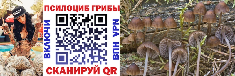 Галлюциногенные грибы Magic Shrooms гидра tor Городец