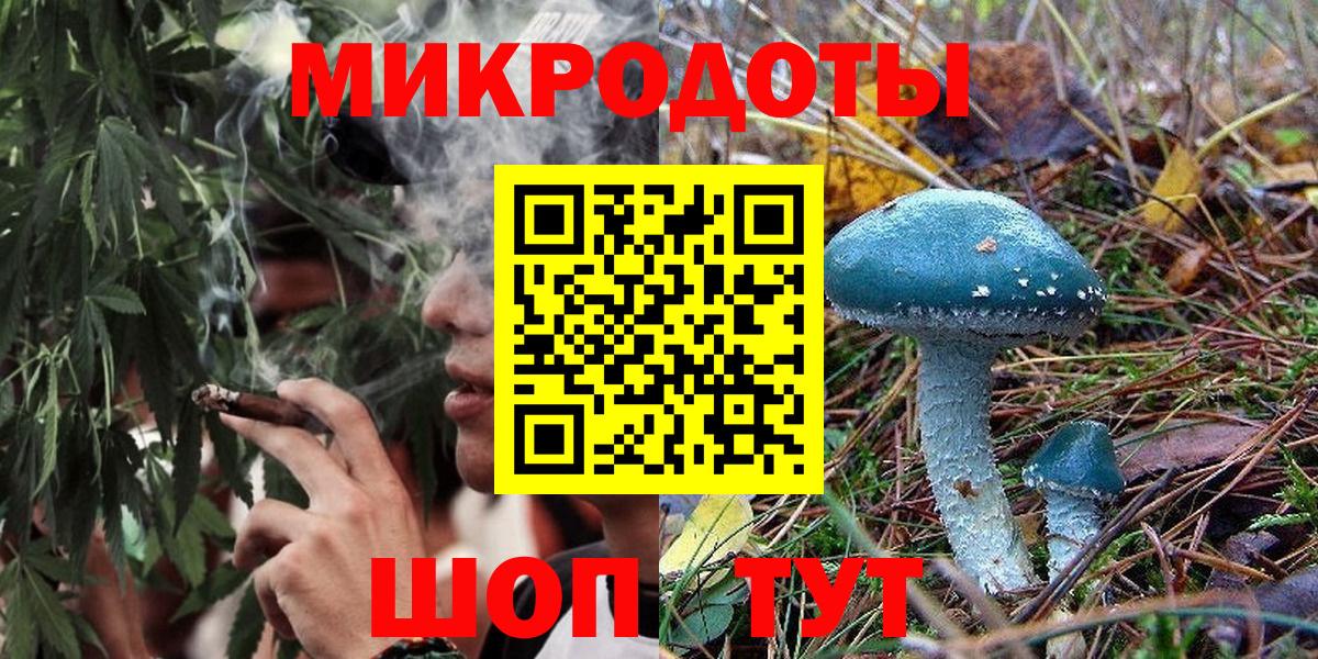 Городец  Галлюциногенные грибы прущие грибы  Вход с VPN 