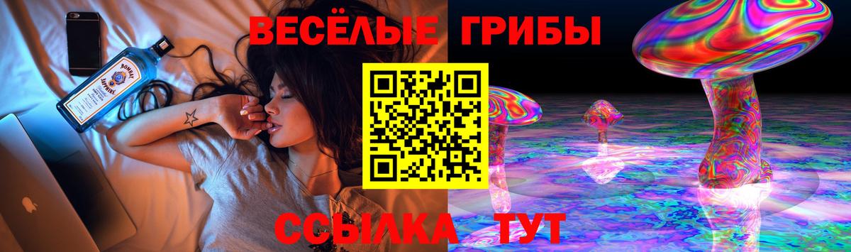 Псилоцибиновые грибы GOLDEN TEACHER  Городец 