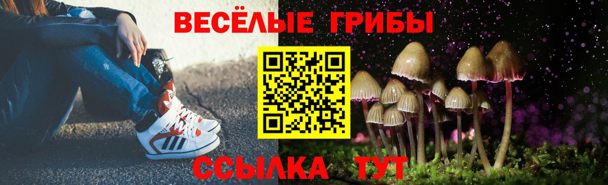 Галлюциногенные грибы Psilocybine cubensis Городец