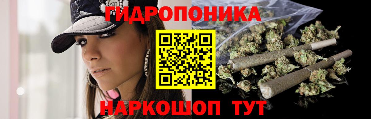 Бошки марихуана LSD WEED  Городец  Шишки марихуана конопля  Канабис план 